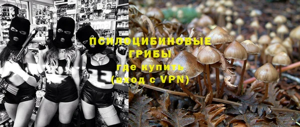 кокаин премиум Ельня