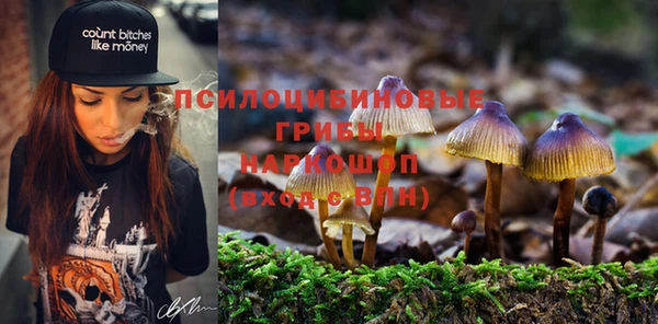 apvp Елизово