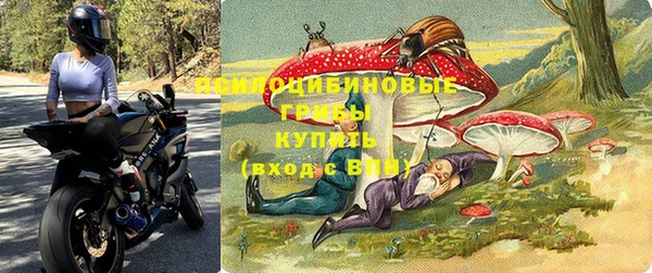 кокаин премиум Ельня