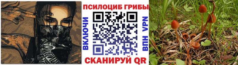 Купить  Добрянка  Галлюциногенные грибы Psilocybine cubensis 
